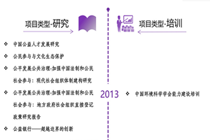 国产大鸡巴性爱在线非评估类项目发展历程